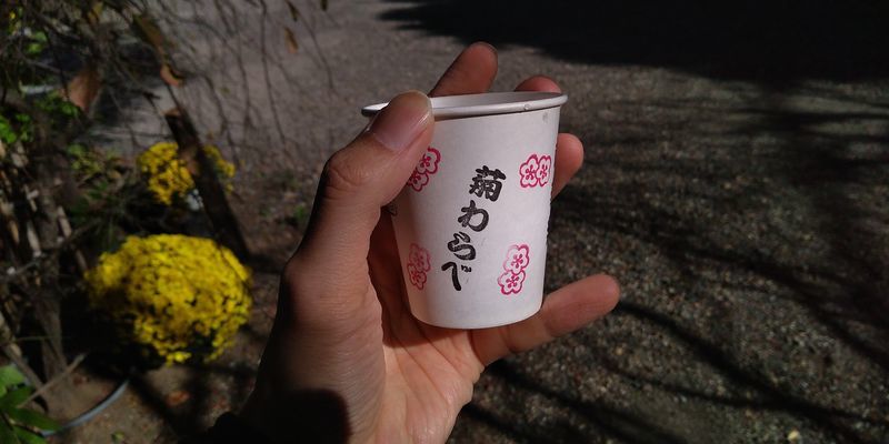 f:id:gajuwo:20211114065550j:plain