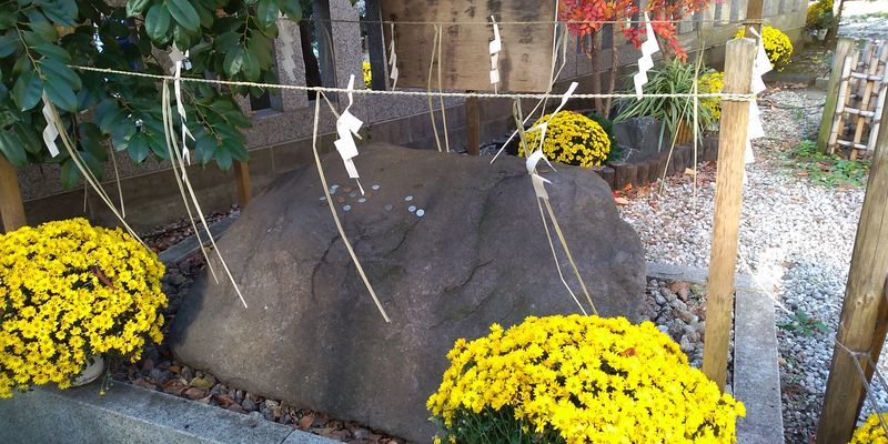 f:id:gajuwo:20211114065614j:plain