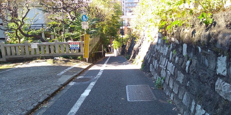 f:id:gajuwo:20211114065808j:plain