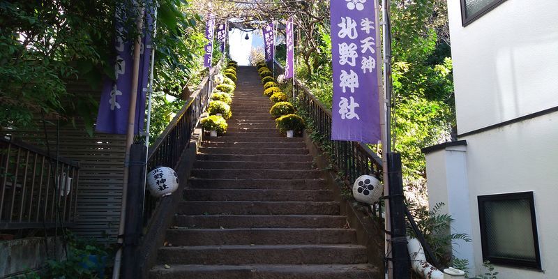 f:id:gajuwo:20211114065843j:plain