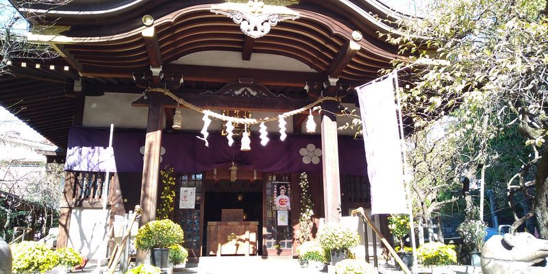 f:id:gajuwo:20211114070028j:plain