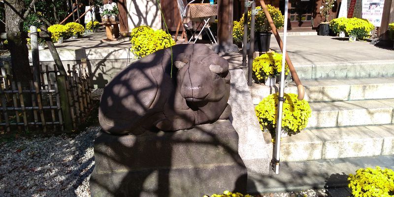 f:id:gajuwo:20211114070044j:plain