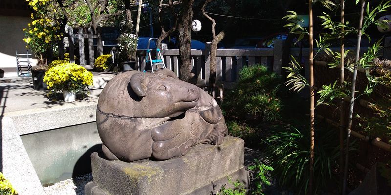 f:id:gajuwo:20211114070050j:plain