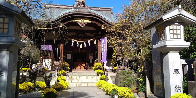 f:id:gajuwo:20211114070102j:plain