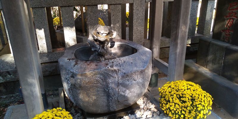 f:id:gajuwo:20211114070113j:plain