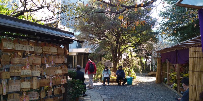 f:id:gajuwo:20211114070129j:plain