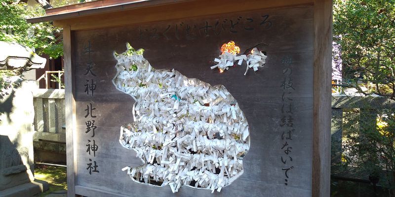 f:id:gajuwo:20211114070135j:plain