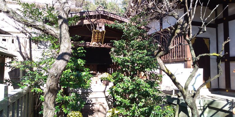 f:id:gajuwo:20211114070215j:plain