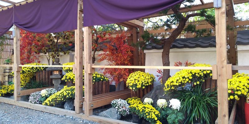 f:id:gajuwo:20211114070227j:plain