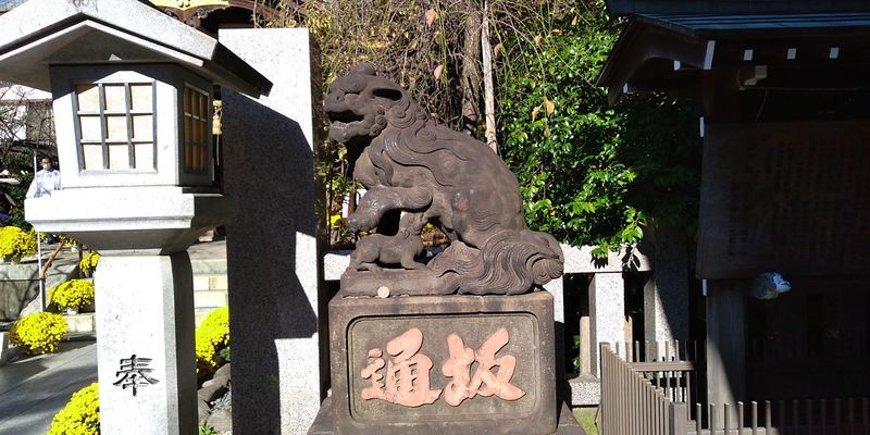 f:id:gajuwo:20211114070318j:plain