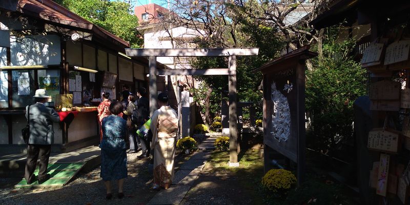 f:id:gajuwo:20211114070345j:plain