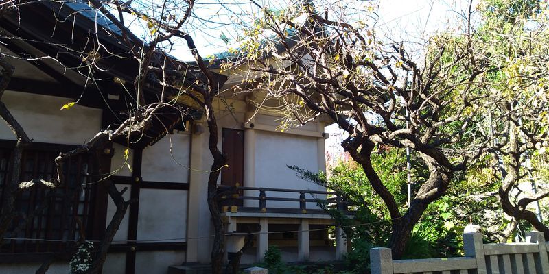 f:id:gajuwo:20211114070351j:plain