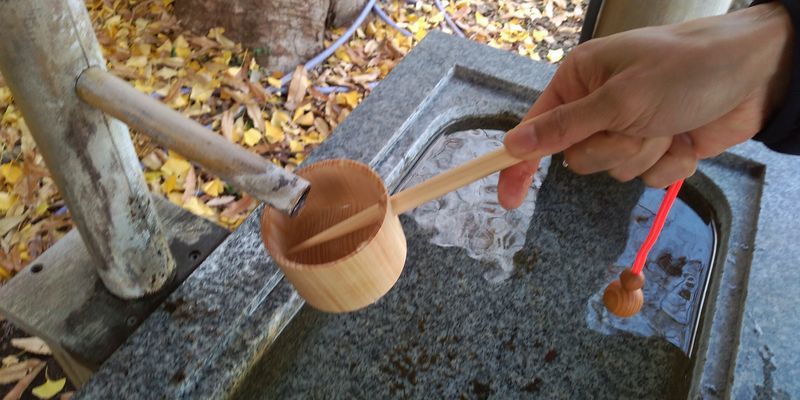 f:id:gajuwo:20211212113436j:plain