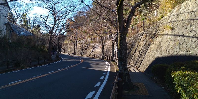 f:id:gajuwo:20220102065712j:plain