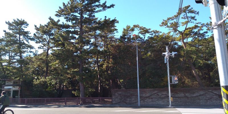 f:id:gajuwo:20220102070314j:plain