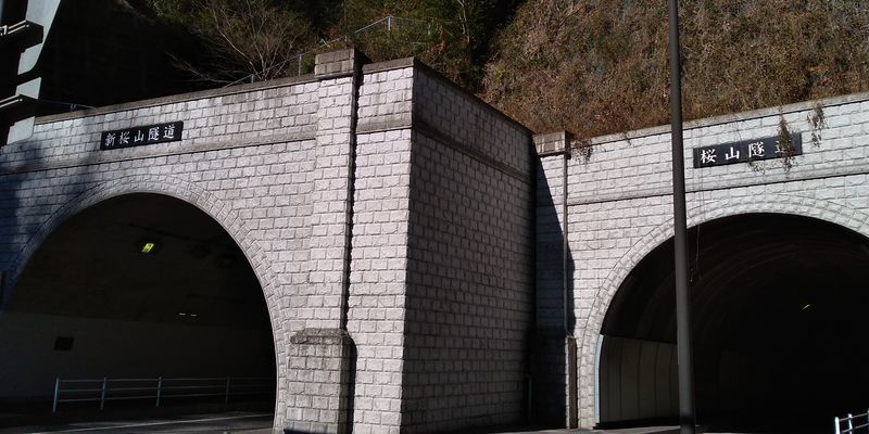 f:id:gajuwo:20220102070452j:plain