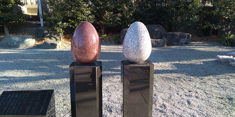 f:id:gajuwo:20220206164946j:plain