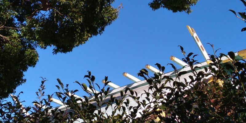 f:id:gajuwo:20220206165642j:plain