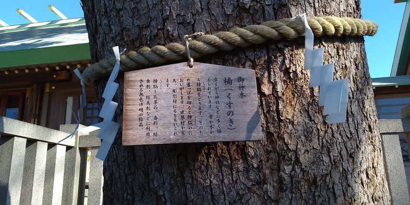 f:id:gajuwo:20220206165815j:plain