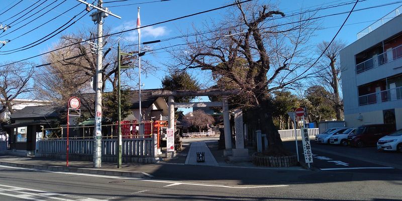 f:id:gajuwo:20220206165839j:plain