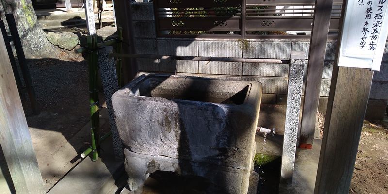 f:id:gajuwo:20220206171514j:plain