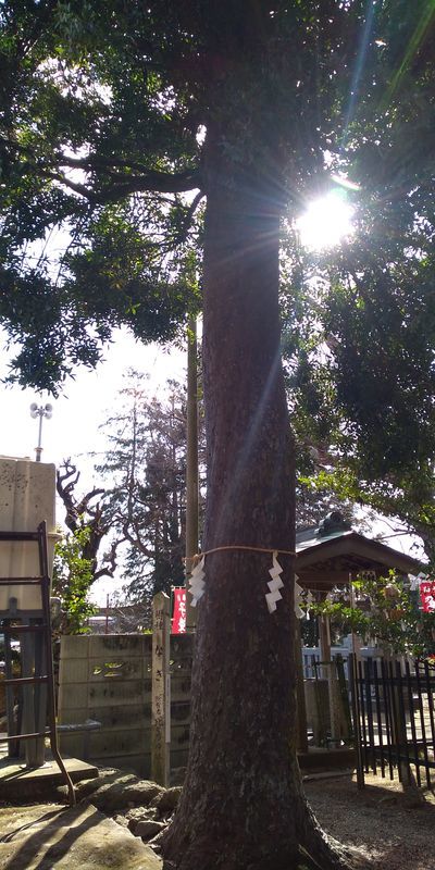 f:id:gajuwo:20220206171631j:plain