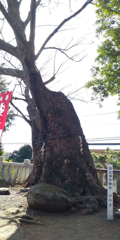 f:id:gajuwo:20220206171659j:plain