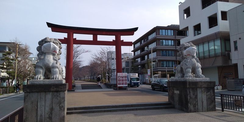 f:id:gajuwo:20220401214326j:plain