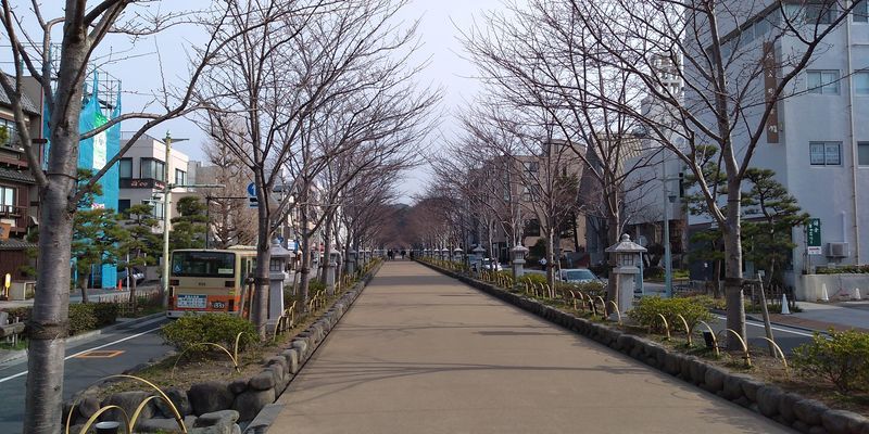 f:id:gajuwo:20220401214453j:plain