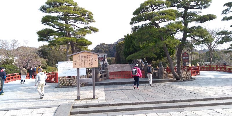 f:id:gajuwo:20220401214659j:plain