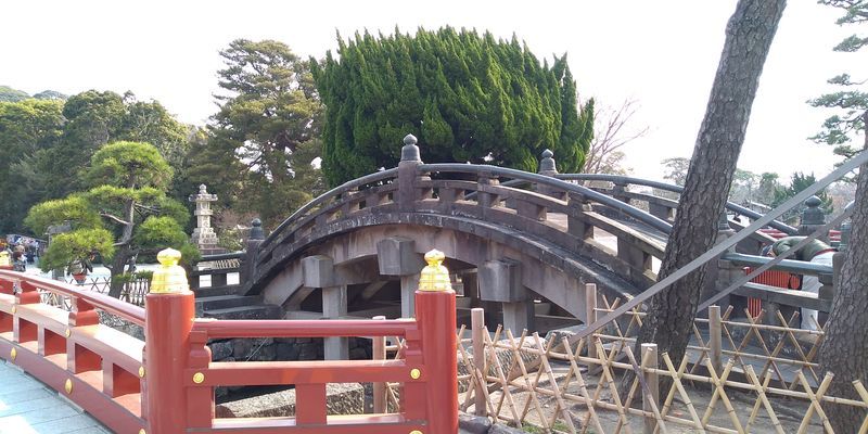 f:id:gajuwo:20220401214712j:plain