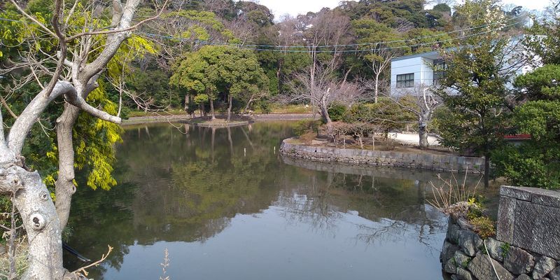 f:id:gajuwo:20220401214718j:plain