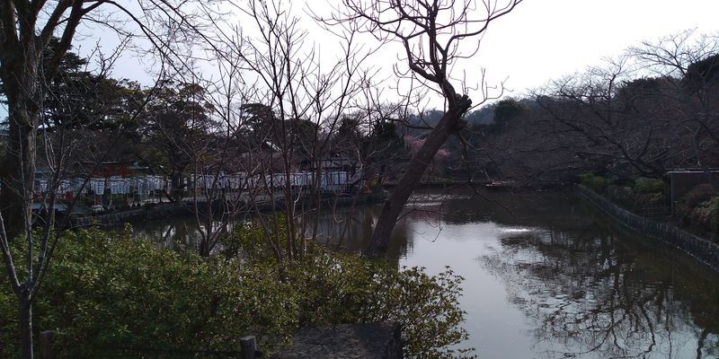 f:id:gajuwo:20220401214737j:plain