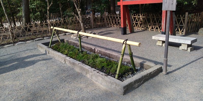 f:id:gajuwo:20220401214830j:plain