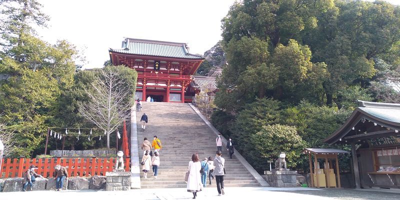 f:id:gajuwo:20220401214927j:plain