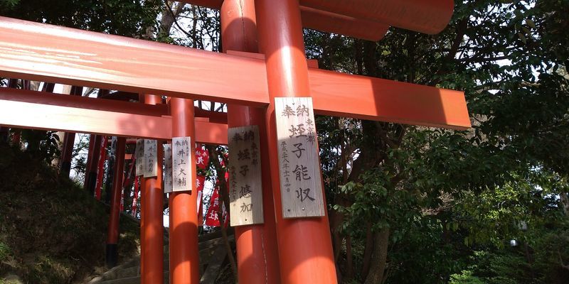 f:id:gajuwo:20220401215212j:plain