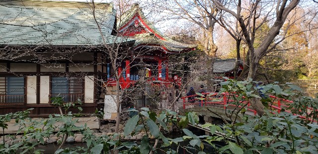 f:id:gakeka:20190204073542j:image