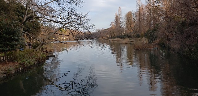 f:id:gakeka:20190204073611j:image
