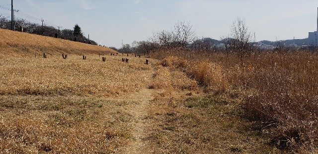 f:id:gakeka:20190225211202j:image