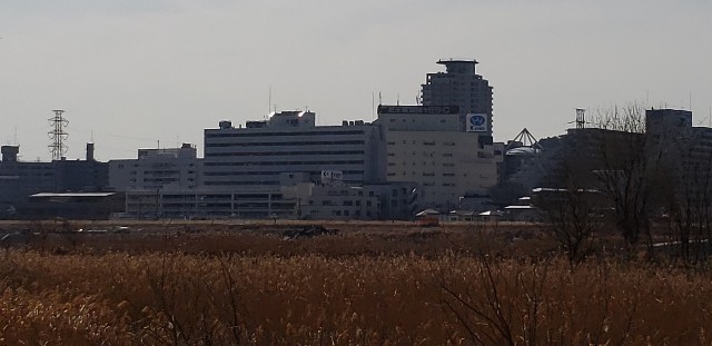 f:id:gakeka:20190225211235j:image