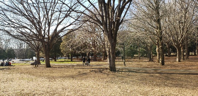 f:id:gakeka:20190225214118j:image