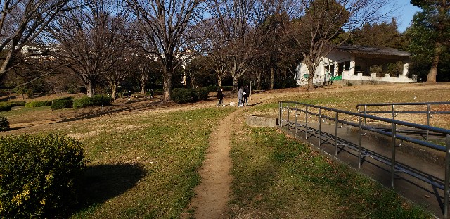 f:id:gakeka:20190225214153j:image
