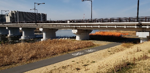f:id:gakeka:20190225214424j:image