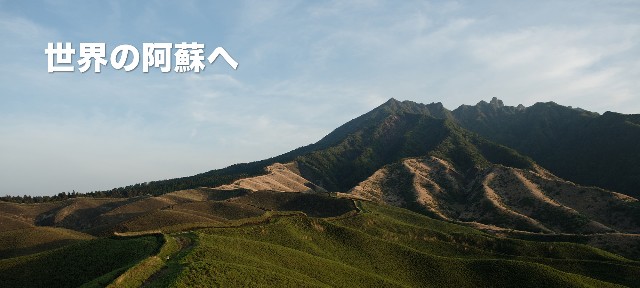 f:id:gakeka:20190319074958j:image
