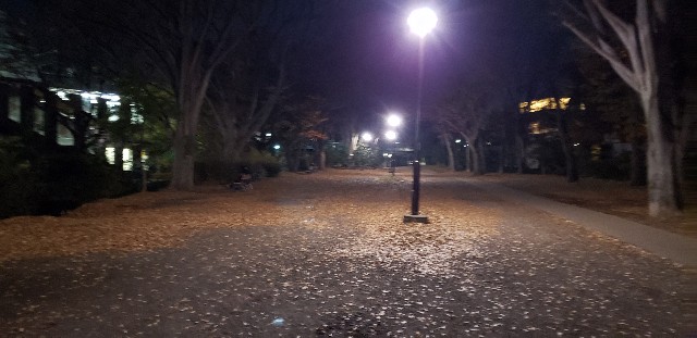 f:id:gakeka:20200224000115j:image
