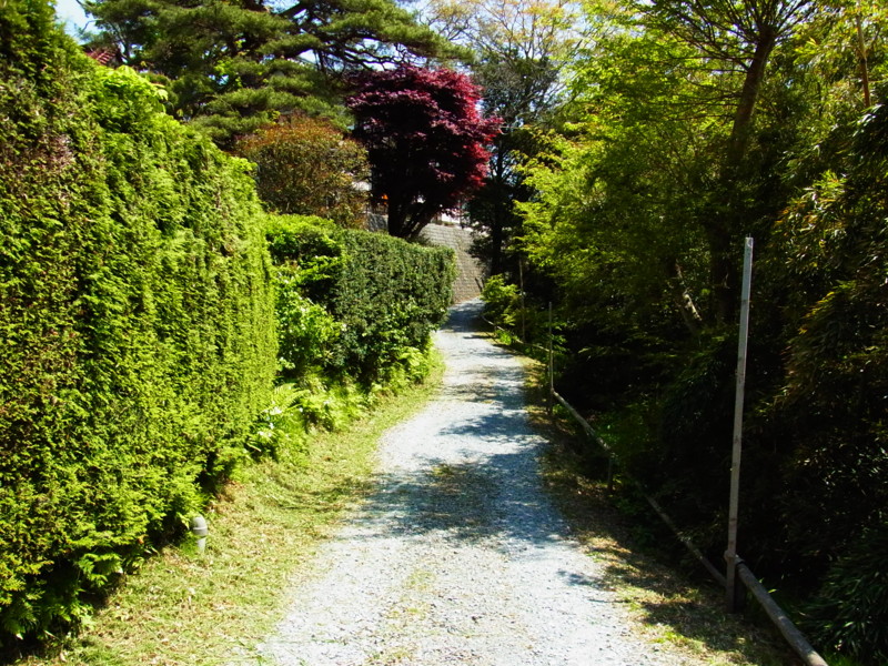 f:id:gakigakiga:20120514122454j:image f:id:gakigakiga:20120514122454j:image