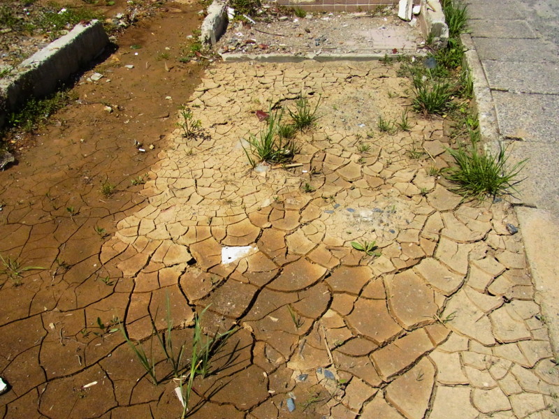 f:id:gakigakiga:20120514123835j:image f:id:gakigakiga:20120514123835j:image