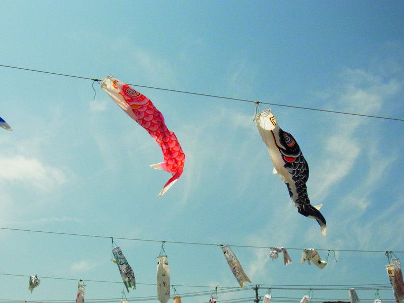 f:id:gakigakiga:20120514125540j:image f:id:gakigakiga:20120514125540j:image