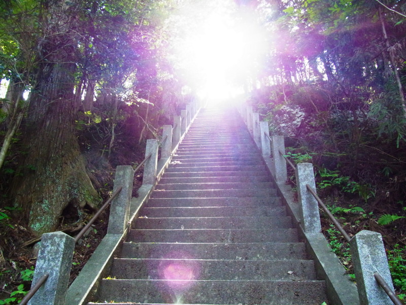 f:id:gakigakiga:20120514142922j:image f:id:gakigakiga:20120514142922j:image