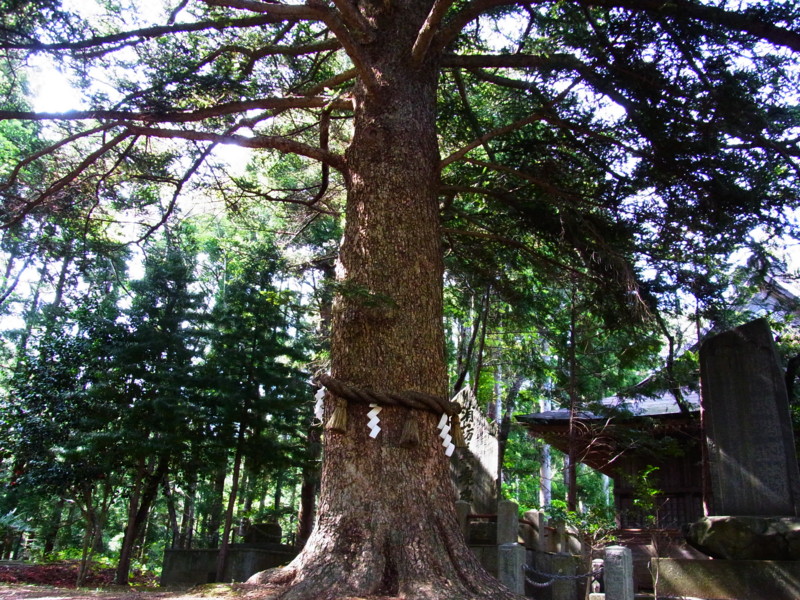 f:id:gakigakiga:20120514143344j:image f:id:gakigakiga:20120514143344j:image